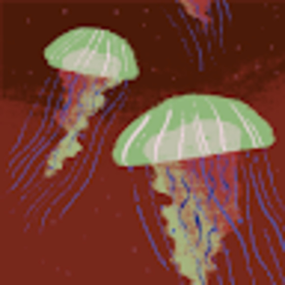 Meet your Posher, Denise - Picture 1 of 1